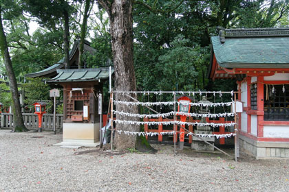 Yasaka