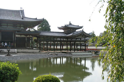 Uji