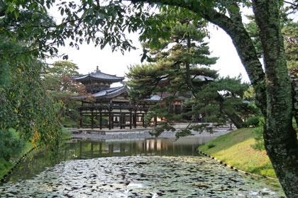 Uji